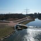 Faschinat mit Fischaufstiegsanlage Wittenweier